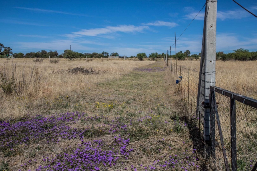 Commercial Property for Sale in Koppies Free State